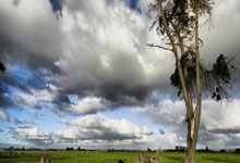 足球直播平台-中国乒乓球队险胜瑞典,马龙关键时刻力挽狂澜续写辉煌